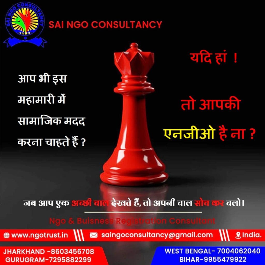 What Services Do NGO Consultancies Provide?