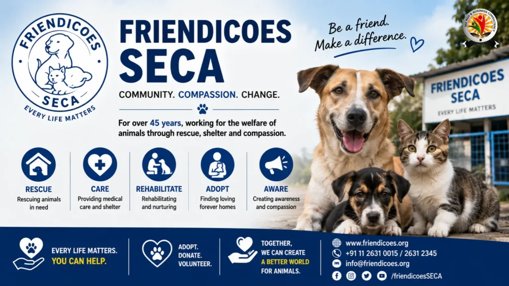 Top 10 Best NGO for Animals in India That Are Saving Lives Right Now4
