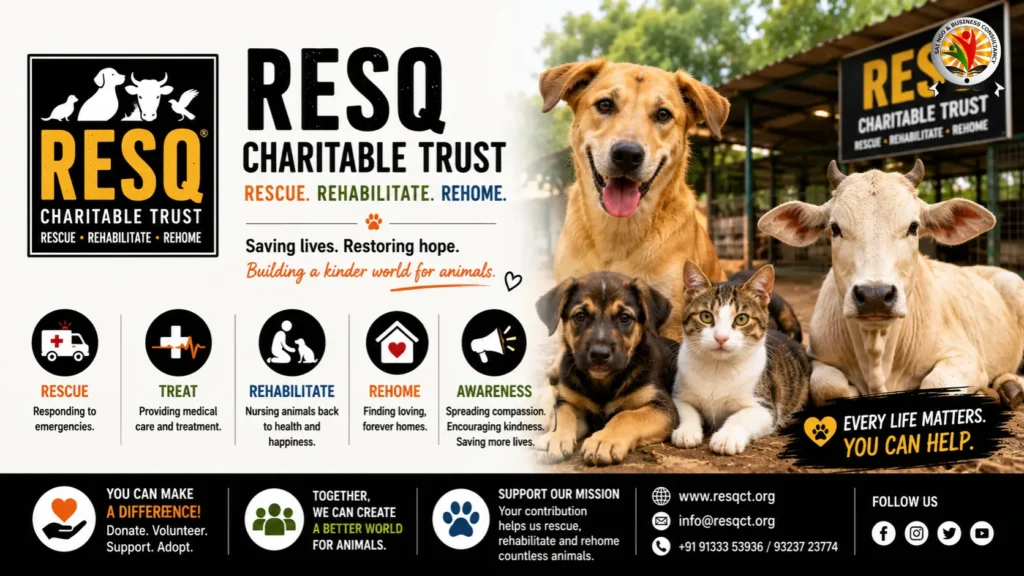 Top 10 Best NGO for Animals in India That Are Saving Lives Right Now7
