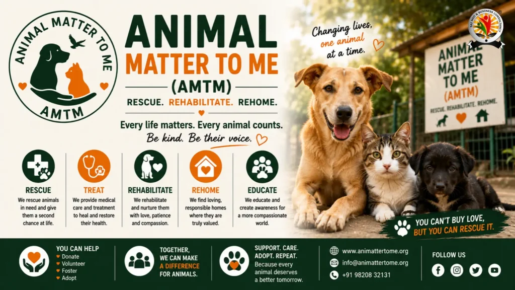 Top 10 Best NGO for Animals in India That Are Saving Lives Right Now9